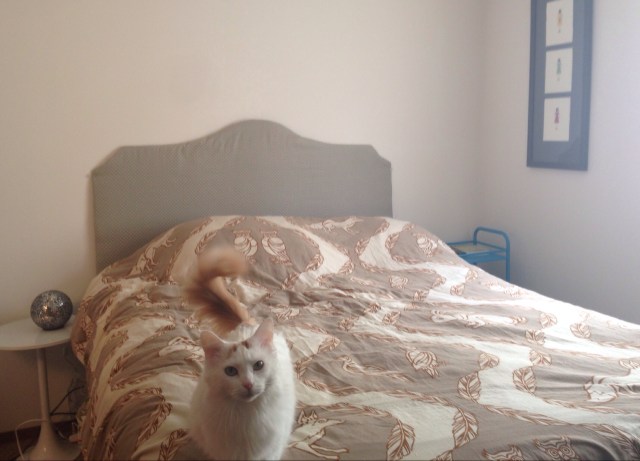 now for some more wall art.