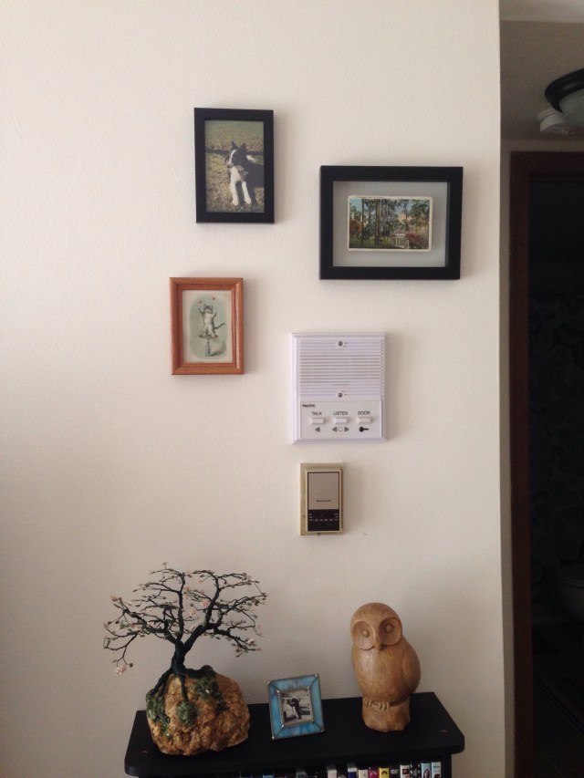 I like clusters of different sized and colored frames 